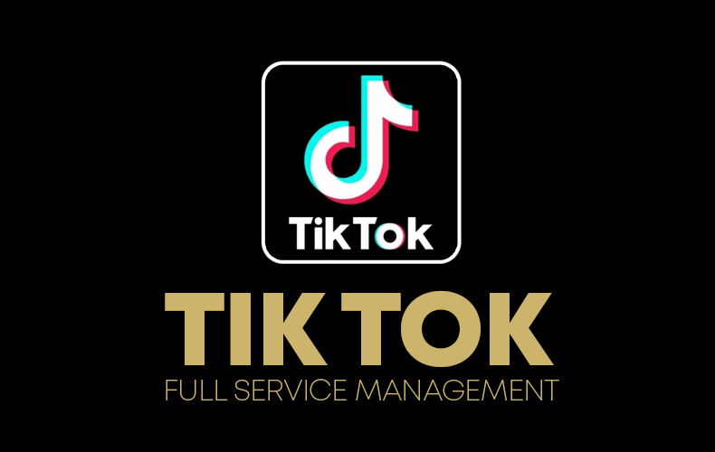 Why You Should Buy TikTok Followers?